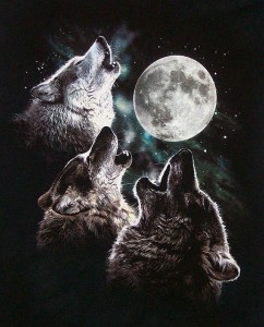 Three Wolf Moon t-shirt image
